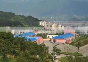 Zigui Diyuan Food And Canned Food Co., Ltd. company overview - view 2 thumbnail