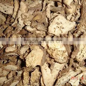 Dried Ginger From Indonesia. Regular Ginger, Red Ginger, Mango Ginger. thumbnail-2