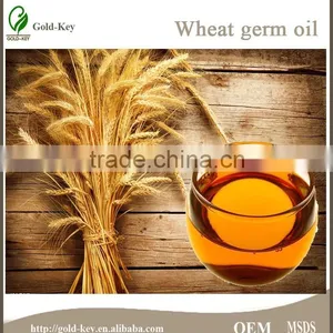 Hot Sale Wheat Germ Oil, Body Massage Oil for Woman, Pure Wheat Germ Extract Oil thumbnail-2