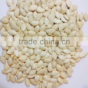 Shine Skin Pumpkin Seeds Organic Certified for EU/ USDA thumbnail-6