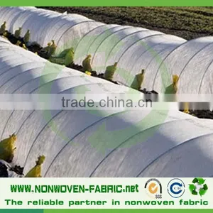 Low Price Spunbonded Nonwoven Fabric for Agricultural Cover thumbnail-1