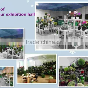 Heshan Senmao Crafts Co., Ltd. company overview - view 1 thumbnail