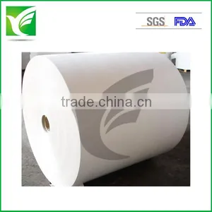 Food Grade One Side pe Coated Paper in Roll/paper in Sheet for Paper Cup, Paper Cup Raw Material thumbnail-1