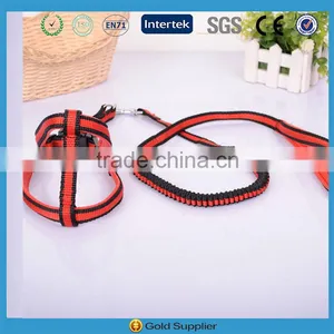 LF Wholesale Dog Bungee Harness and Leash thumbnail-3
