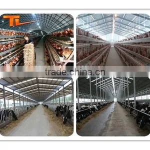 Prefabricated Building Steel Chicken Farm thumbnail-1