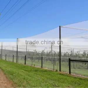 (20 Years Shanghai Factory) Hot Selling , New Arrival, Commercial Plastic Knotted Mesh Anti Bird Netting , 25 GSM / 20102-25 thumbnail-4