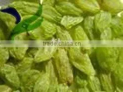 Sweet Green Raisin With High Quality and Good Price thumbnail-1