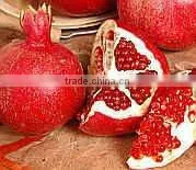 Fresh Egyptain Pomegranate thumbnail-1