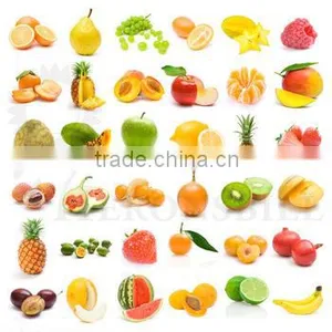 Food Grade Instant Spray Dried Mango Juice Powder thumbnail-1