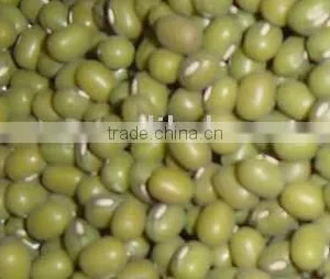 GREEN MUNG BEAN thumbnail-1