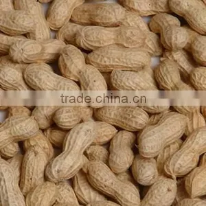 Peanut in Shell 2015 New Crop thumbnail-4