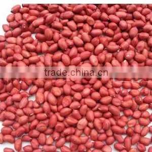 HIGH QUALITY GROUNDNUT KERNEL 40/50 thumbnail-1