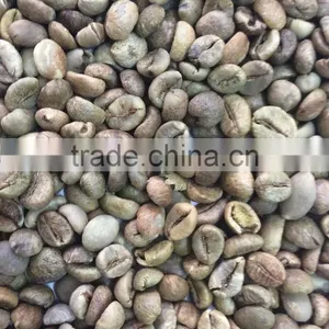 HIGH QUALITY ROBUSTA COFFEE BEANS thumbnail-2