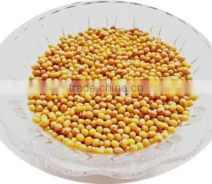 JSX Chinese Yellow Mung Beans Sprouting Grade Mung Dal thumbnail-1