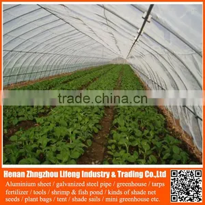 40 Mesh 50 Mesh100% Virgin Hdpe Greenhouse Insect Net , Plastic Vegetable Anti Insect Net , pe Agricultural Insect Proof Net thumbnail-4