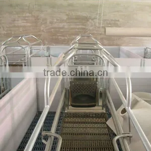 PVC Rail Elevated Pig Farrowing Stall thumbnail-1