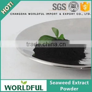 High Purity 100% Natural Supplement Seaweed Extract Powder Compost Fertilizer thumbnail-1