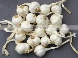 Fresh Ly Son Garlic at Best Price in New Crop thumbnail-1