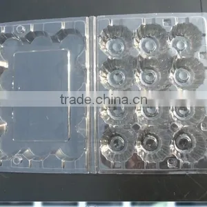 Plastic Quail Eggs Tray /supply 12hole Quail Egg Blister Tray thumbnail-2