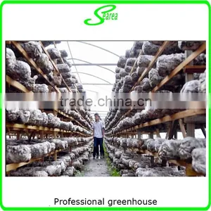 Mushroom Growing Tunnels thumbnail-3