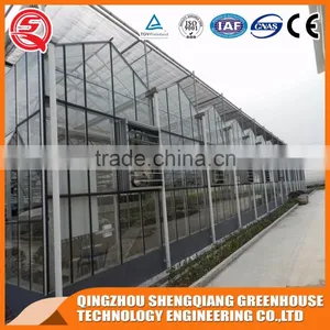 China Factory Direct Greenhouse With Wind Resistance Steel Frame thumbnail-1