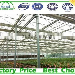 Square Galvanized Steel Pipe For Greenhouse thumbnail-2