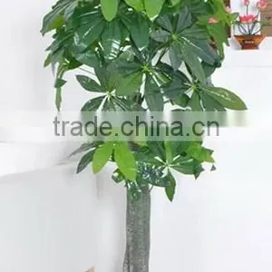 CHY030928 Potted Money Bonsai Tree/high Initation Fake Tree With Good Futurn thumbnail-1