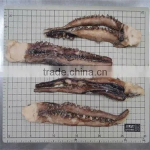 Cooked Frozen Peru Giant Squid thumbnail-1