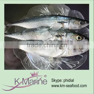 China Wholesale Frozen Mackerel Lot Number#kmw4030 thumbnail-1