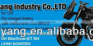 Low Self-discharge Batteries Made in China thumbnail-1