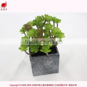 Artificial Tropical Plants in Pot Mini Green Plant Artificial Succulent for Garden Arrangement thumbnail-1