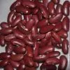 RED KIDNEY BEANS thumbnail-1