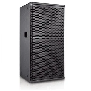 12' Woofer Speaker For Conference Room/Training Room thumbnail-1