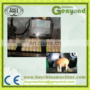 Automatic Egg Break Yolk and White Separated Equipment thumbnail-4