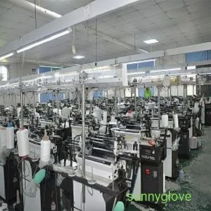 Rudong Sunny Gloves company overview - view 4 thumbnail