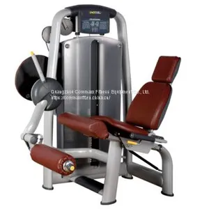 CM-9006 Leg Extension Machine Exercise Equipment Sports And Fitness Equipment thumbnail-1