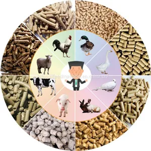 2020 Factory Cheap Price 1-3T/H Animal Feed Pellet Processing Machine Plant , Pellet Feed Production Line thumbnail-4