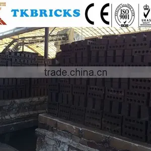 Different Color Paving Brick,clay Paving Brick,pavers for Japan and Korean Market thumbnail-6