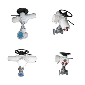 J9b41W/H/Y-16 Electric Cast Steel Flange Steam Globe Valve thumbnail-1