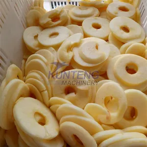 Automatic Fruit Washer and Dryer Pineapple Lemon Mango Apple Slicer Drying Machine Dried Fruit Production Line EPC thumbnail-5