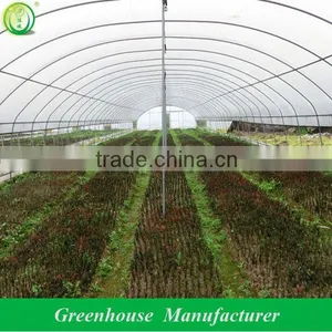 Tunnel Greenhouses and Prices thumbnail-1
