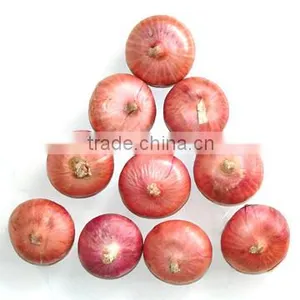 Chinese Red Onion thumbnail-1