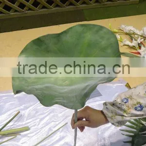 Whosale Green Lotus Leaf thumbnail-1
