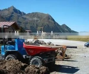 Export Adreica Market 4*4 Drive Dumper/Site Dumper thumbnail-1