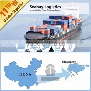 Professional Cargo Shipping Agency to Singapore thumbnail-1