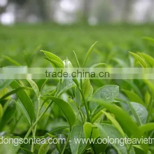 Viet Nam Famous Black Tea thumbnail-3