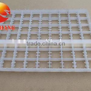 New Design Plastic Chicken Egg Tray Colorful Egg Trays for Sale thumbnail-2