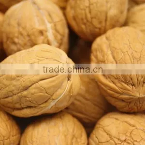 Supercritical CO2 Extract Organic Walnut Oil thumbnail-3