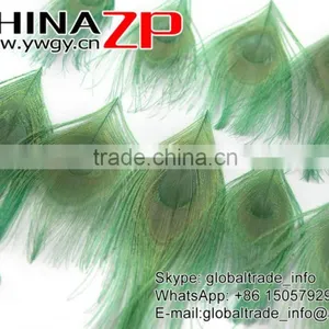 ZPDECOR Factory Bulk Sale Cheap Selling Dyed Mint Green Trimmed Short Peacock Feathers for DIY thumbnail-2