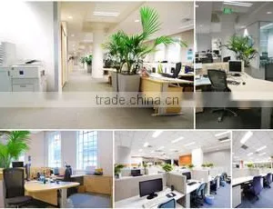 Shiyan Rockrich Industry & Trade Co., Ltd. company overview - view 1 thumbnail